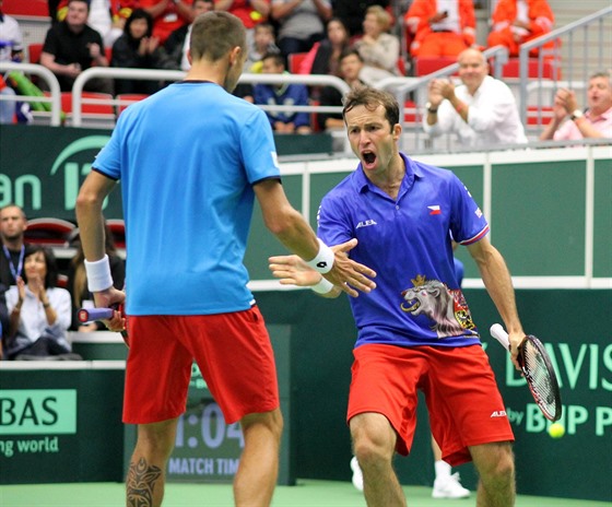 Radek tpánek (vpravo) a Luká Rosol pi deblu ve tvrtfinále Davis Cupu.