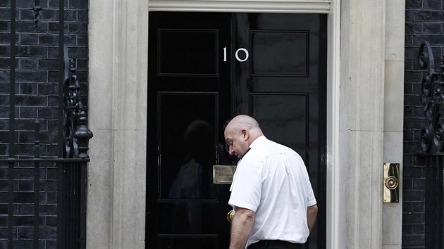 Kocour Larry ped dvemi premirskho sdla v Downing street slo 10 (5. ervenec 2016)