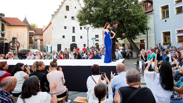 Publikum na Piaristickm nmst v eskch Budjovicch sledovalo v pondl veer mdn show finalist svtov soute Miss & Mister Deaf World pro neslyc. Ti pedvedli napklad spoleensk aty.