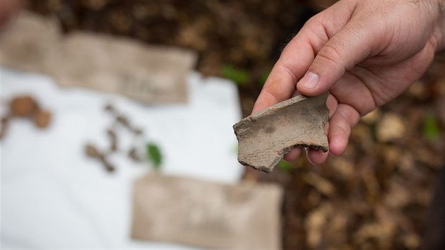 Archeologick przkum na naleziti Kn hora na Strakonicku.