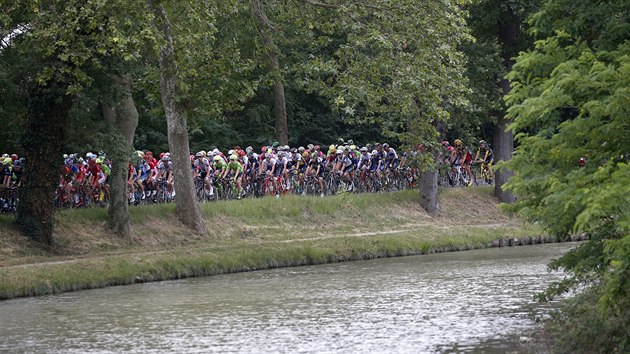 Cyklistick peloton bhem 11. etapy Tour de France.