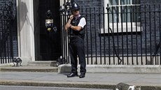 Kocour Larry ped dvemi premiérského sídla v Downing street íslo 10 (13....