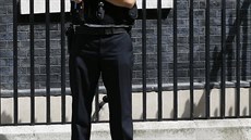 Kocour Larry ped dvemi premiérského sídla v Downing street íslo 10 (13....