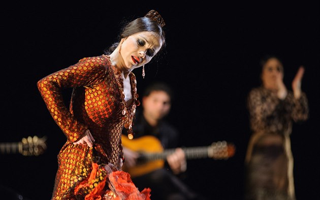 Na letoním roníku olomouckého festivalu Colores Flamencos vystoupí mimo jiné...