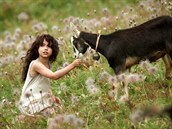 Z filmu Heidi, děvčátko z hor Z filmu Heidi, děvčátko z hor