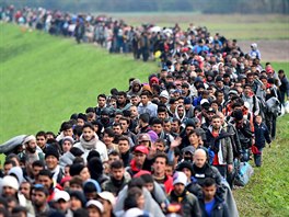 Loni v lét naplno propukla uprchlická krize, kdy do západní Evropy proudily...