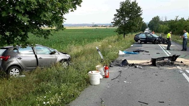 idi citrenu dostal smyk a v protismru eln narazil do protijedoucho vozidla hyundai, jeho idi srku nepeil. (25.7.2016)