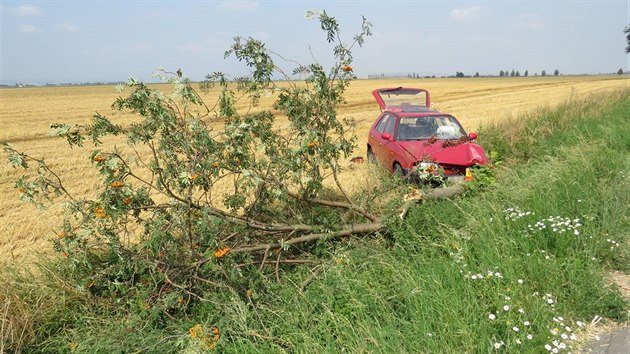 idika se za jzdy ohldla na krabici s kokou na zadnm sedadle, kvli tomu ale strhla zen a pot s vozem perazila strom stojc u silnice.