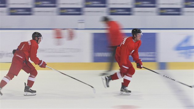 Momentka z trninku hokejist Olomouce