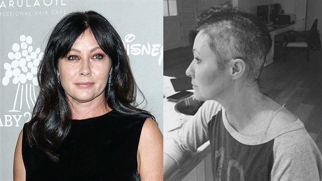 Hereka Shannen Doherty si kvli rakovin prsu, s n bojuje od roku 2015, osthala vlasy. Na socilnch stch zveejnila srii snmk, kter dokumentuj prbh jejho rozhodnut.