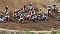 Mistrovství světa v motokrosu v Lokti. Mistrovství světa v motokrosu v Lokti.