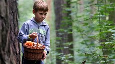 Houbaři vyrážejí na lov v lesích Karlovarského kraje. Houbaři vyrážejí na lov v lesích Karlovarského kraje.
