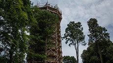 Památkáři opravují středověkou Jakobínku unikátní metodou. Lešení vznikalo... Památkáři opravují středověkou Jakobínku unikátní metodou. Lešení vznikalo...