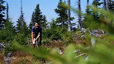 Králický Sněžník. Dobrovolníci opatřují mladé stromky jeřábu "zubovrzem" proti... Králický Sněžník. Dobrovolníci opatřují mladé stromky jeřábu "zubovrzem" proti...