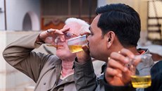 Kult hinduistických věřících v Indii tvrdí, že pití čerstvé kravské moči může... Kult hinduistických věřících v Indii tvrdí, že pití čerstvé kravské moči může...