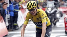 ZVLÁDL TO. Chris Froome i pes pád v devatenácté etap dál drí lutý dres.