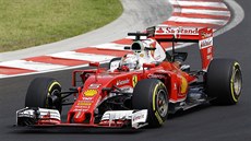 Sebastian Vettel pi tréninku na Velkou cenu Maarska F1.