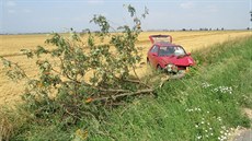 idika se za jízdy ohlédla na krabici s kokou na zadním sedadle, kvli tomu...