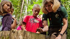 Lesní pedagogové pedstavují les formou hry dtem z ozdravovny Les Království...
