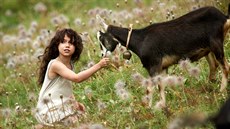 Z filmu Heidi, děvčátko z hor Z filmu Heidi, děvčátko z hor