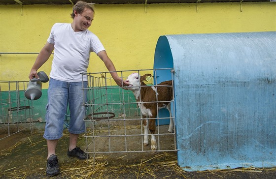Ocenní Nejlepí sedlák pro rok 2016 letos získala Ekofarma Javorník ve títné nad Vláí. Ron produkuje 800 tisíc litr mléka, nabízí pstitelskou pálenici a láká také na agroturistiku.