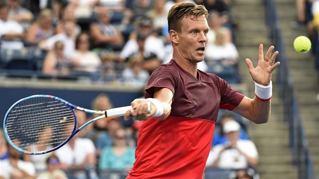 Tom Berdych se sousted na der v utkn s Novkem Djokoviem.