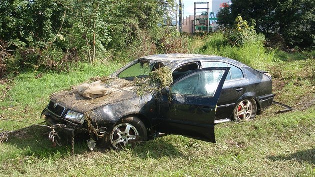 Vyproovn utopen kody Octavie z eky Vlry u msta Brumov-Bylnice na Zlnsku (7. srpna 2016).