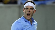 Argentinec Juan Martín Del Potro se raduje v zápase s Novak Djokoviem v...