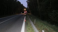 Nehodu u Bujanova na eskokrumlovsku nepeil jedenadvacetiletý idi seatu.