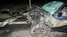 Při nehodě na Klatovsku zemřeli dva lidé. (31. července 2016) Při nehodě na Klatovsku zemřeli dva lidé. (31. července 2016)
