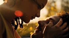 American Honey trailer American Honey trailer