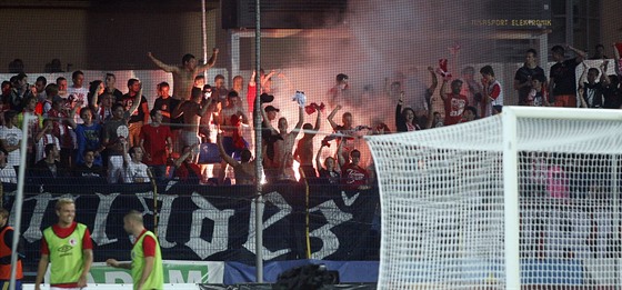 Slávistití fanouci bhem ligového utkání v Jihlav.