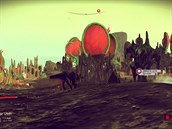 No Mans Sky (PS4)