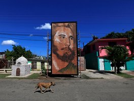 FIDEL V HAVAN. Pes prochází kolem plakátu Fidela Castra v Havan. Bývalý...