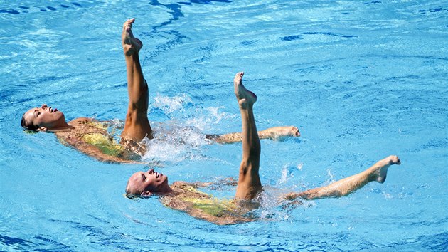 Synchronizovan plavkyn Soa Bernardov a Albta Dufkov pi vystoupen na...