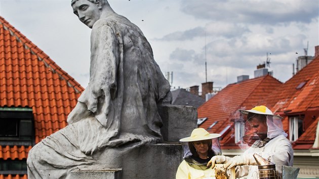 Magistrt sklzel vlastn med. ly jsou pmo na stee budovy magistrtu.