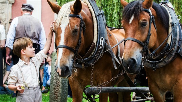 Z naten Svrkova filmu Po strniti bos (16. srpna 2016)