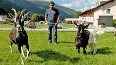 Isidor Sepp hospodaí ve výcarských Alpách na farm Puntetta.