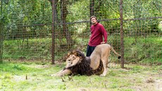 Michal Práek chová ve Zdchov krom lvice i lva Fujiho (na snímku).