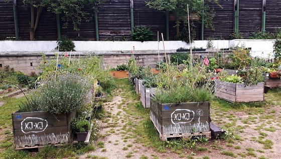 Od silnice zahradu bezpen oddluje vysoký plot, ada kolemjdoucích dodnes...