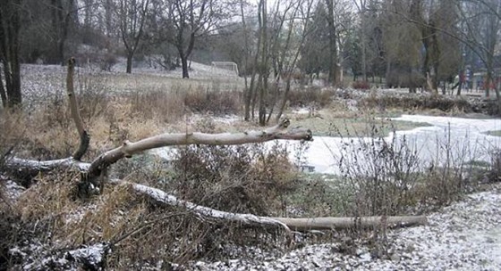 Vyhledávané koupalit je dnes nevábnou louí.