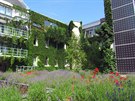 Hotel je neuvěřitelně šikovný. Sám si vyrábí veškerou elektřinu, kterou pro... Hotel je neuvěřitelně šikovný. Sám si vyrábí veškerou elektřinu, kterou pro...