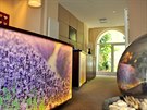 Hosté, kteří se chtějí v ekologickém hotelu ubytovat, nemusí být zapálení... Hosté, kteří se chtějí v ekologickém hotelu ubytovat, nemusí být zapálení...
