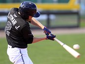 Momentka z rozhodujícího utkání finále extraligy baseballistů mezi Draky Brno a... Momentka z rozhodujícího utkání finále extraligy baseballistů mezi Draky Brno a...