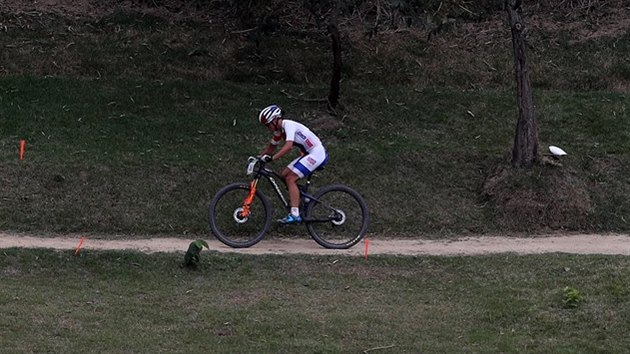 Kateina Nash bhem olympijskho zvodu na horskch kolech.