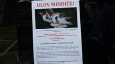 Letáky s tímto textem visí na různých místech v Dejvicích. Letáky s tímto textem visí na různých místech v Dejvicích.
