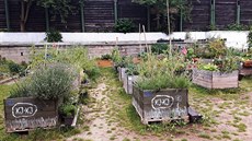 Od silnice zahradu bezpečně odděluje vysoký plot, řada kolemjdoucích dodnes... Od silnice zahradu bezpečně odděluje vysoký plot, řada kolemjdoucích dodnes...