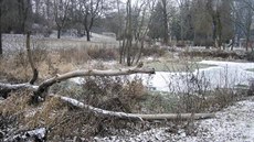 „Vyhledávané koupaliště je dnes nevábnou louží, nad jejímž stavem se... „Vyhledávané koupaliště je dnes nevábnou louží, nad jejímž stavem se...