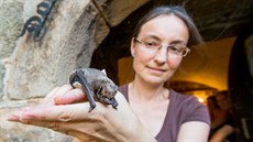 Petra Schnitzerová (na snímku) se netopýrům věnuje už zhruba dvacet let. Tito... Petra Schnitzerová (na snímku) se netopýrům věnuje už zhruba dvacet let. Tito...