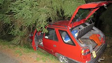 Mladý řidič se vyhýbal zvěři na silnici, narazil do stromu Mladý řidič se vyhýbal zvěři na silnici, narazil do stromu